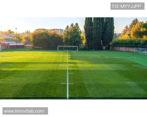 足球明星插图壁纸精选集让你尽享球场魅力与激情瞬间