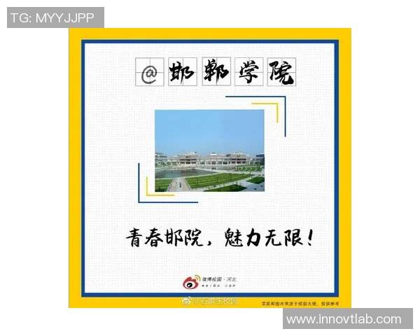 篮球文案馆聚焦篮球明星的荣耀与梦想展现运动精神的无限魅力